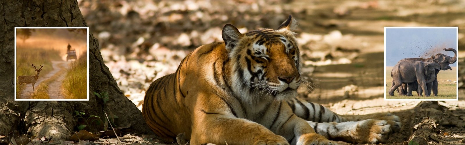 Uttarakhand Packages Header